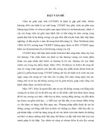 đánh giá kết quả tái tạo xương con bằng trụ dẫn tự thân trên bệnh nhân viêm tai giữa mạn tính ổn định