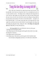 Tiểu luận vật lý chất rắn trạng thái dao động mạng tinh thể