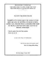 nghiên cứu sàng lọc các loài vi tảo biển quang tự dưỡng có hàm lượng lipid cao, thành phần acid béo phù hợp sử dụng làm nguyên liệu sản xuất diesel sinh học