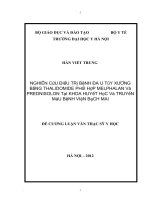nghiên cứu kết quả điều trị bệnh đa u tủy xương bằng thalidomid phối hợp với melphalan và prednisolon tại khoa huyết học và truyền máu- bệnh viện bạch mai