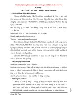 Tìm hiểu hệ thống kiểm soát nội bộ của công ty cổ phần sadico cần thơ