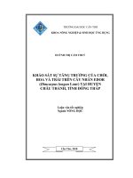 Khảo sát sự tăng trưởng của chồi, hoa và trái trên cây nhãn edor (dimcarpus longan lour) tại huyện châu thành, tỉnh đồng tháp