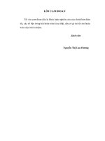 thực trạng và giải pháp mở rộng và phát triển nghiệp vụ bảo lãnh phát hành chứng khoán của các công ty chứng khoán tại việt nam