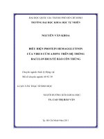 Biểu hiện protein Hemagglutinin của virus cúm AH5N1 trên hệ thống Baculovirus/ tế bào côn trùng