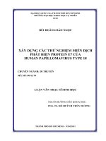 Xây dựng các thử nghiệm miễn dịch phát hiện protein e7 của human papilloamvirus type 18