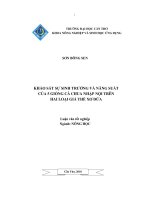Khảo sát sự sinh trưởng và năng suất của 5 giống cà chua nhập nội trên hai loại giá thể xơ dừa