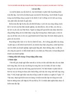 Vai trò của kiểm toán độc lập trong nền kinh tế thị trường có sự quản lý của nhà nước ở việt nam