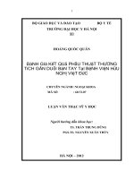 luận văn thạc sĩ đánh giá kết quả phẫu thuật thương tích gân duỗi bàn tay tại bệnh viện hữu nghị việt đức