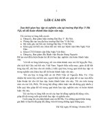 đánh giá tác dụng giảm đau sau mổ của magnesium sulphate truyền tĩnh mạch trong mổ phối hợp với gây tê tủy sống bằng bupivacain và fentanyl cho phẫu thuật chi dưới