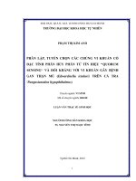 Phân lập, tuyển chọn các chủng vi khuẩn có đặc tính phân hủy phân tử tín hiệu quorum sensing và đối kháng với vi khuẩn gây bệnh gan thận mủ (Edwardsiella ictaluri) trên cá tra (Pangasianodon hypophthalmus)