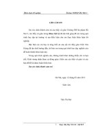 Khóa luận tốt nghiệp nghiên cứu vấn đề cải thiện chất lượng đánh lửa nhằm nâng cao hiệu suất nhiệt trong động cơ châm cháy cưỡng bức