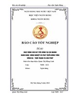 hoạt động cho vay tiêu dùng tại chi nhánh ngân hàng nông nghiệp và phát triển nông thôn đống đa – thực trạng và giải pháp