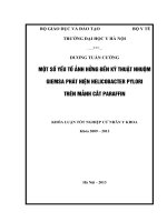 một số yếu tố ảnh hưởng đến kỹ thuật nhuộm giemsa phát hiện helicobacter pylori trên mảnh cắt paraffin