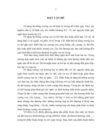 nghiên cứu lâm sàng, cắt lớp vi tính và chức năng tai giữa ở bệnh nhân dị dạng hệ thống xương con