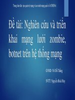 Đề tài nghiên cứu và triển khai mạng lưới zombie, botnet trên hệ thống mạng
