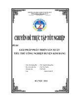 giải pháp phát triển sản xuất tiểu thủ công nghiệp huyện kim bảng tỉnh hà nam