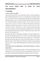Tiểu luận sản xuất Phân bón vi sinh từ nấm trichoderma words