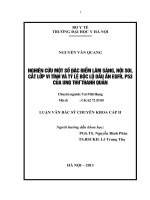 “nghiên cứu một số đặc điểm lâm sàng, nội soi, chụp cắt lớp vi tính, mô bệnh học và tỷ lệ bộc lộ dấu ấn egfr, p53 của ung thư thanh quản