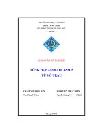 Tổng hợp zeolite ZSM 5 từ vỏ trấu