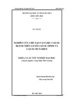 khóa luận tốt nghiệp nghiên cứu chế tạo vật liệu cao su blend trên cơ sở cao su epdm và cao su butadien