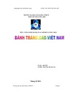 Đề tài bánh tráng gao viêt nam