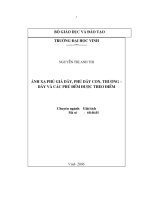 ánh xạ phủ giả dãy, phủ dãy con, thương - dãy và các phủ đếm được theo điểm luận văn thạc sĩ cao học