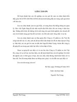 Xây dựng hệ thống quản lý dự án tại công ty Cổ phần tư vấn Việt Hà