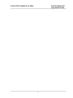 giải pháp nâng cao hiệu quả sử dụng vốn lưu động tại công ty cổ phần pico