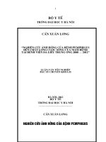 nghiên cứu ảnh hưởng của bệnh pemphigus đến chất lượng cuộc sống của người bệnh tại bệnh viện da liễu trung ương 2008 – 2012