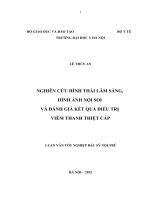 nghiên cứu hình thái lâm sàng, hình ảnh nội soi và đánh giá kết quả điều trị viêm thanh thiệt cấp