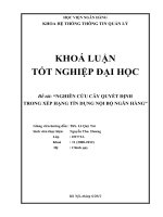 nghiên cứu cây quyết định trong xếp hạng tín dụng nội bộ ngân hàng
