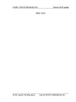 hoàn thiện kế toán nguyên vật liệu tại công ty cổ phần tnhh đầu tư và thương mại trang hưng