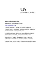 Deubiquitinating Enzymes and Post-Replication Repair in Schizosaccharomyces pombe  luận văn tiến sĩ