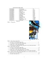 Các vấn đề xuất nhập khẩu việt nam