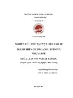khóa luận tốt nghiệp nghiên cứu chế tạo vật liệu cao su blend trên cơ sở cao su epdm và nhựa ldpe