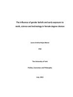 The influence of gender beliefs and early exposure to math, science and technology in female degree choices