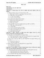 một số giải pháp nâng cao hiệu quả huy động vốn tại nhno&ptnt chi nhánh tpnb