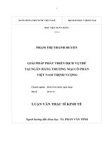 giải pháp phát triển dịch vụ thẻ tại ngân hàng thương mại cổ phần việt nam thịnh vượng