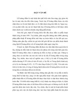 nghiên cứu phẫu thuật cắt dịch kính điều trị lỗ hoàng điểm