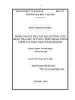 nghiên cứu các hình thái lâm sàng và chức năng truyền âm tai giữa trên bệnh nhân vtgmt ổn định tổn thương xương con