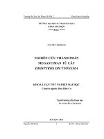 Nghiên cứu thành phần Megastiman từ cây Diospiros Dictyonema