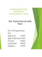 Đề tài Tổng hợp cumen và bis phenol A