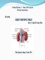 Bài giảng CHẤN THƯƠNG THẬN