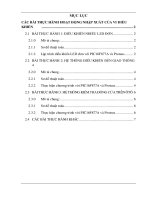 Bài thực hành hoạt động nhập xuất vi điều khiển 8051