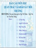 Báo cáo môn học quan trắc và khảo sát môi trường nút giao thông ngã tư ngô thì nhậm