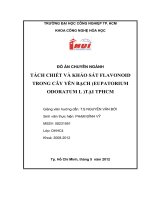Đồ án chuyên ngành tách chiết và khảo sát flavonoid trong cây yên bạch (eupatorium odoratum l) tại TP HCM