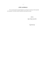 nhận xét kết quả điều trị một trường hợp ung thư biểu mô tế bào đáy góc trong mắt phá hủy xương