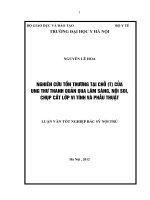 nghiên cứu tổn thương tại chỗ (t) của ung thư thanh quản qua lâm sàng, nội soi, chụp cắt lớp vi tính và phẫu thuật