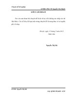 phát triển du lịch văn hóa ở chùa hương theo hướng bền vững