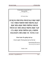 Áp dụng phương pháp dạy học hợp tác theo nhóm nhỏ trong dạy học hóa học phổ thông nhằm tích cực hóa họat động học tập của học sinh thông qua nhóm Halogen, Hóa học 10, Nâng cao